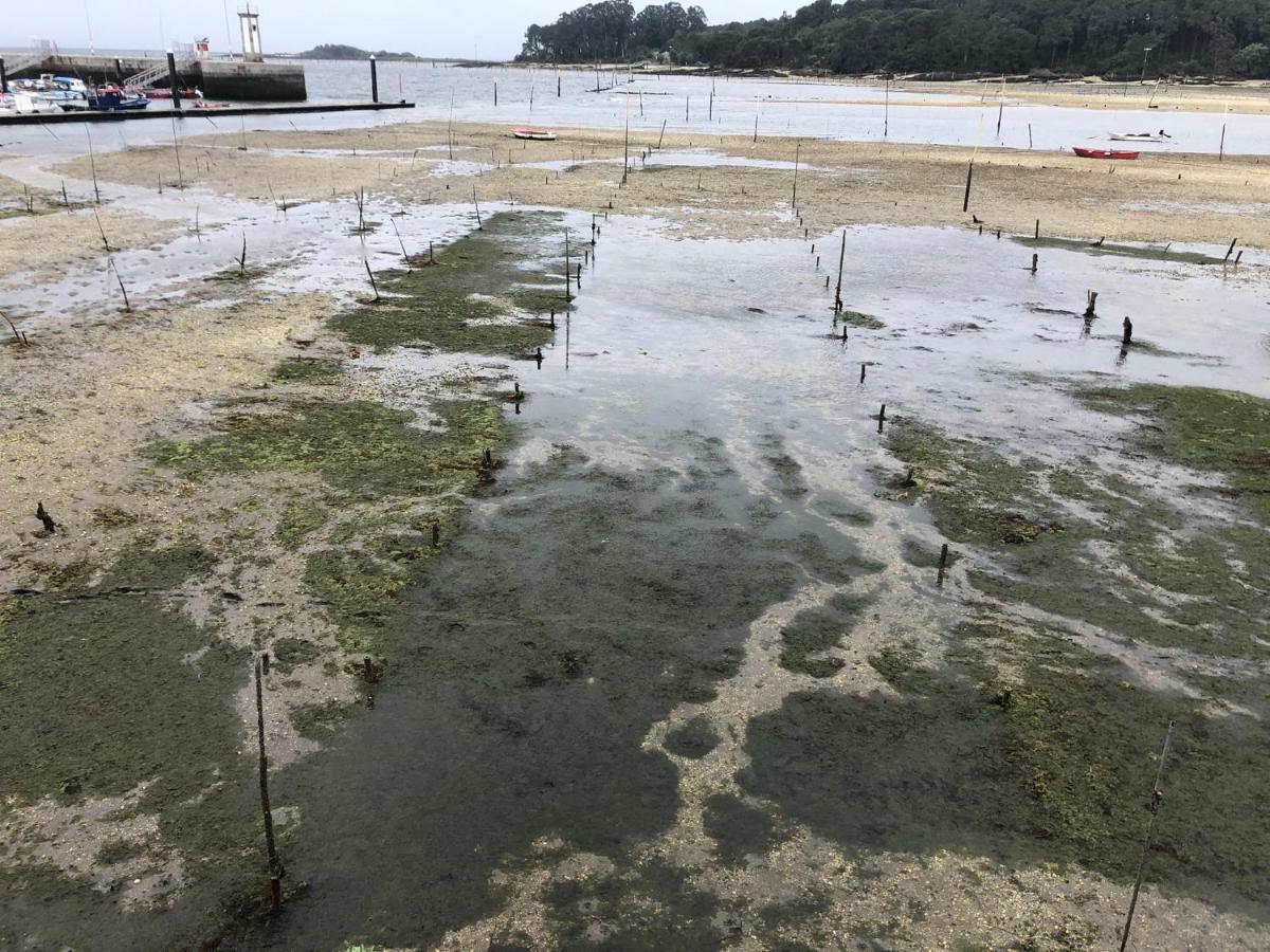 Alojamientos Rias Baixas- Casa Castillejos- Carril Вілагарсія-де-Ароуса Екстер'єр фото